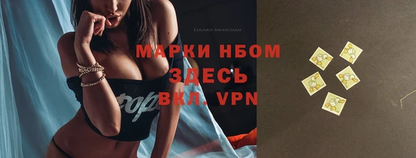 стафф Алзамай