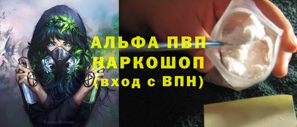 стафф Алзамай