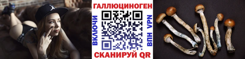 ссылка на мегу рабочий сайт  купить закладку  Закаменск  Галлюциногенные грибы Psilocybe 